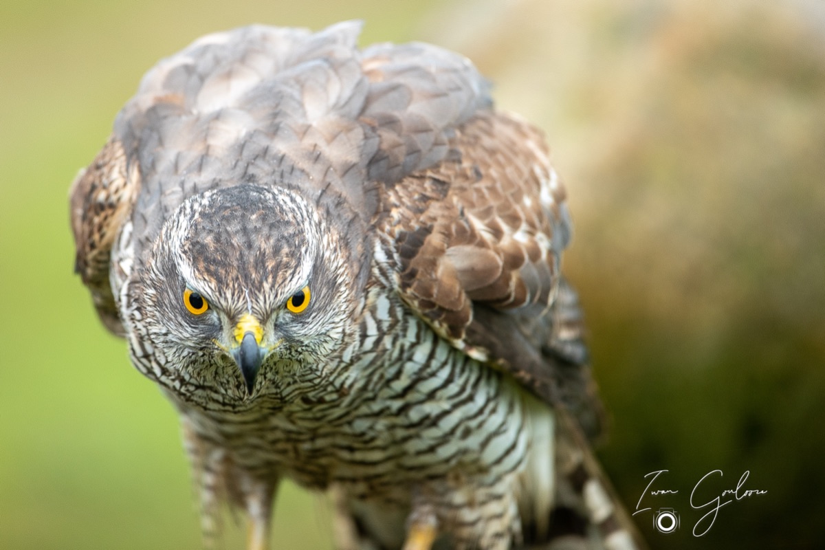 1DX46087 12 december 2021 1226 01